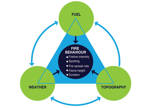 Diagram demonstrating the concept of a fire triangle 