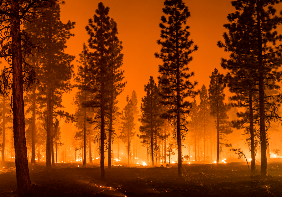 Wildfire Pillar Banner