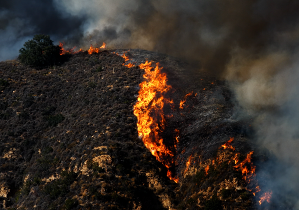 A steep hillside burns in a wildfire