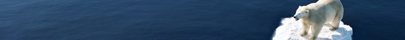 ie-april6-header-2