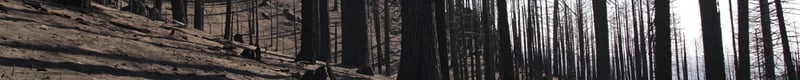 ie-feb9-header-2