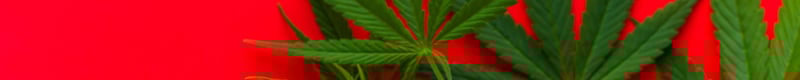 ie-may11-header-3