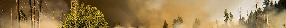 jan-26-ie-header-2