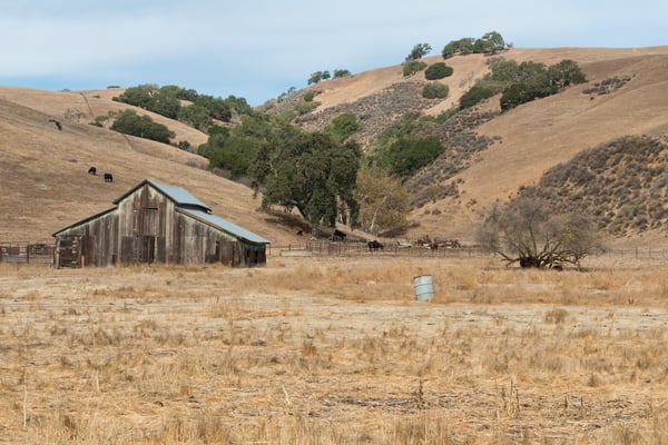 A drought parched field in California with a wooden barn