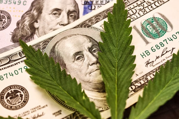 marijuana leaf laying on top of pile of cash
