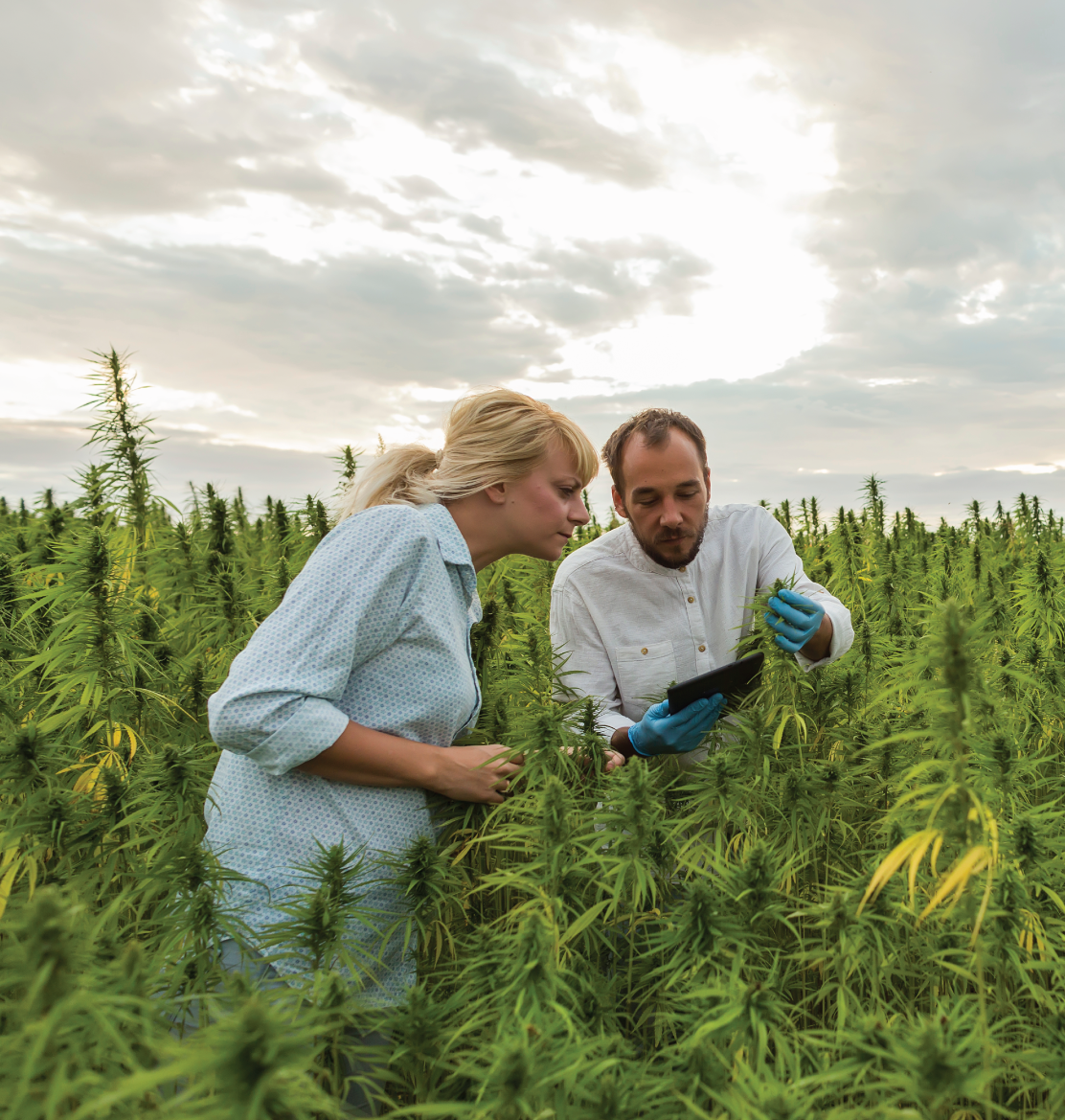 hemp-grower